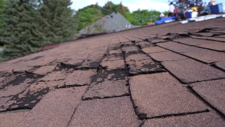 Best Flat Roofing  in Pheasant Run, OH