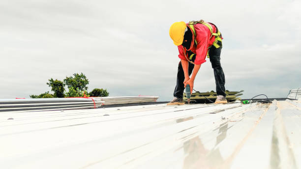 Best Skylight Installation and Repair  in Pheasant Run, OH