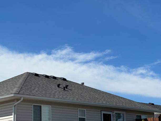 Best Emergency Roof Repair Services  in Pheasant Run, OH